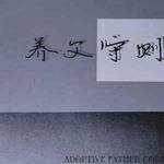养父守则封面