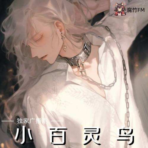 小百灵鸟封面