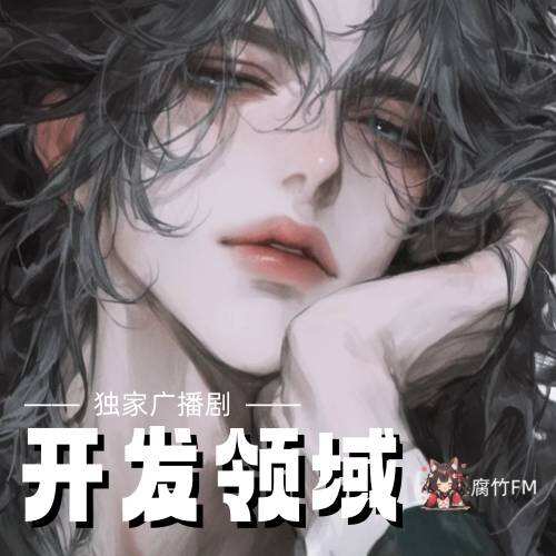 开发领域封面
