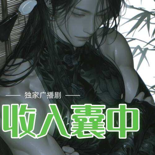收入囊中封面